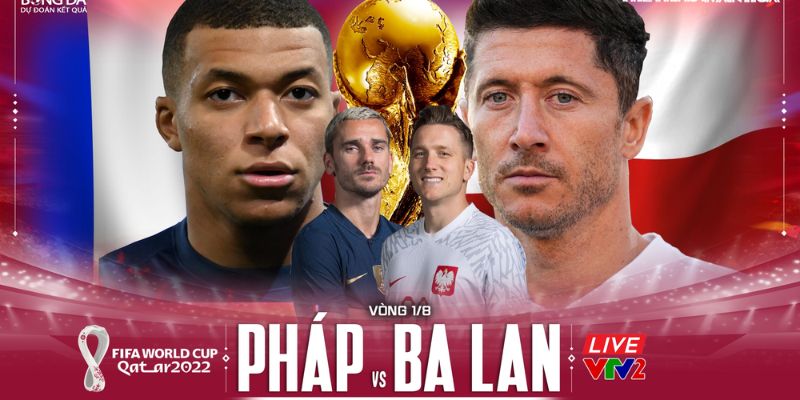 Vai trò của chuyên gia