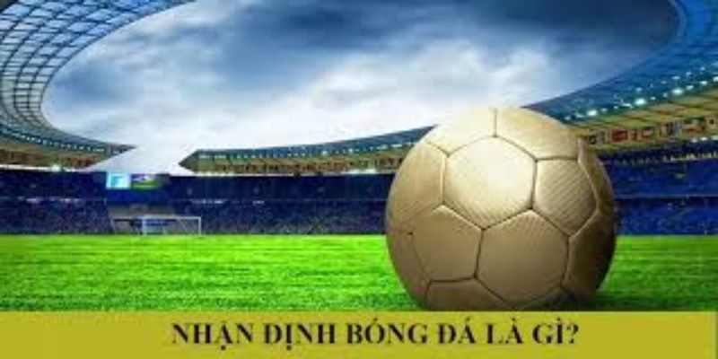 Vai trò của chuyên gia nhận định bóng đá